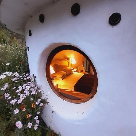 Half Moon Hollow Eco Cottage Μόσελ Μπέι Εξωτερικό φωτογραφία