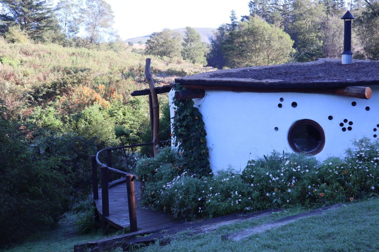 Half Moon Hollow Eco Cottage Μόσελ Μπέι Εξωτερικό φωτογραφία