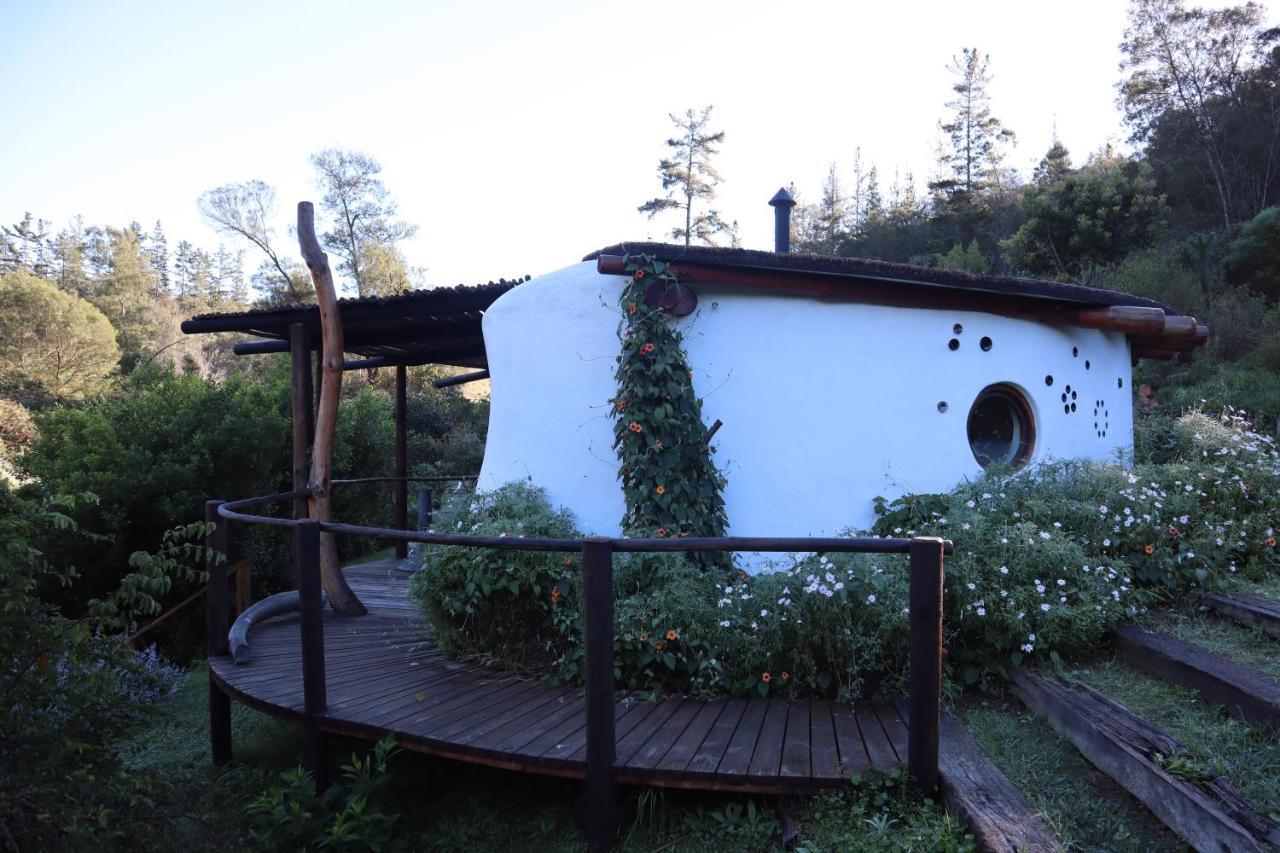 Half Moon Hollow Eco Cottage Μόσελ Μπέι Εξωτερικό φωτογραφία