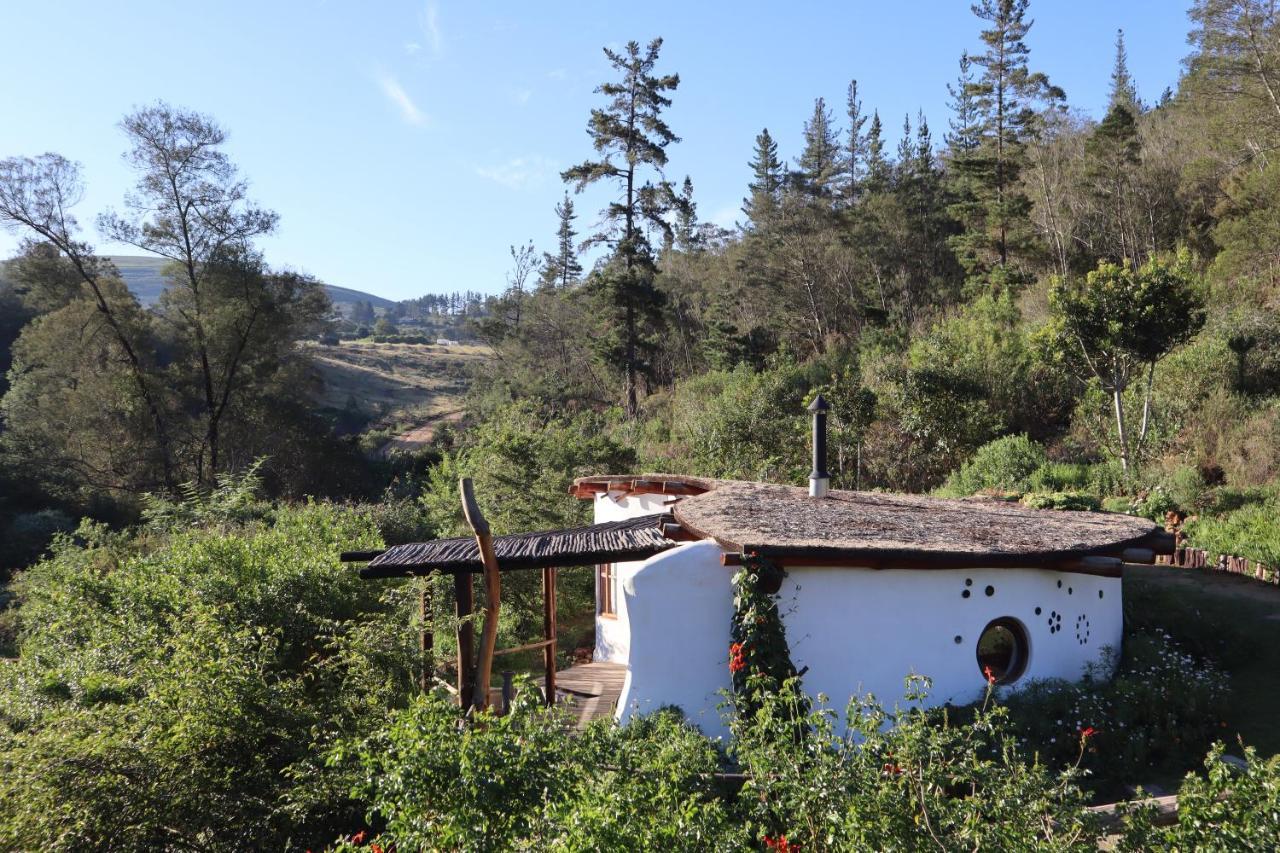 Half Moon Hollow Eco Cottage Μόσελ Μπέι Εξωτερικό φωτογραφία