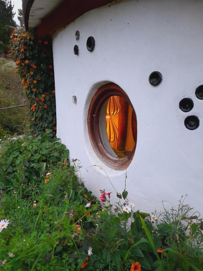 Half Moon Hollow Eco Cottage Μόσελ Μπέι Εξωτερικό φωτογραφία