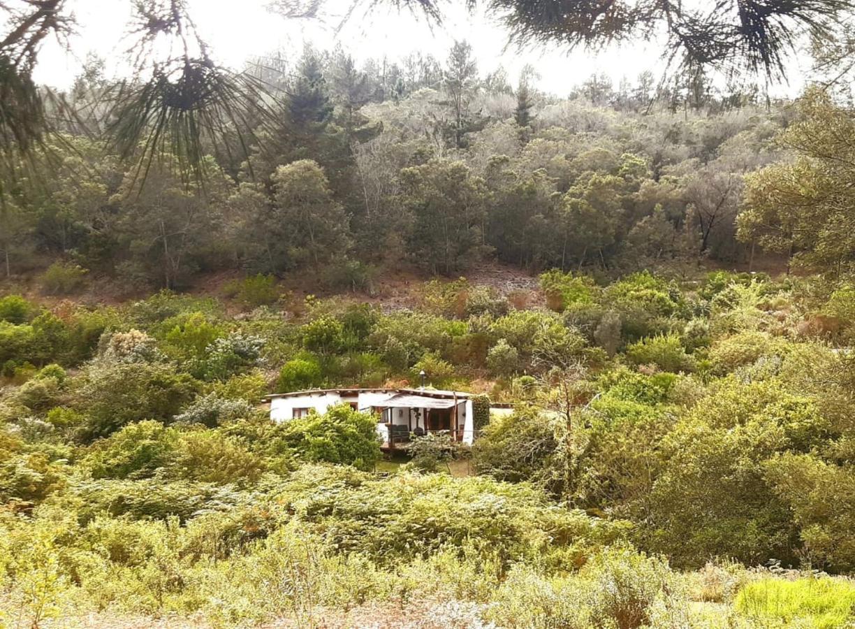 Half Moon Hollow Eco Cottage Μόσελ Μπέι Εξωτερικό φωτογραφία